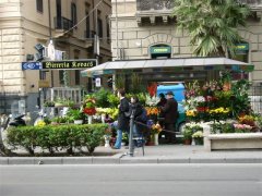 Palermo p̉ԉ